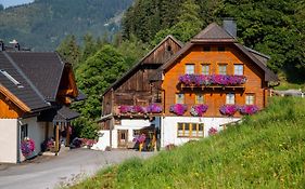 Bio-Bauernhof Grundlehnerhof